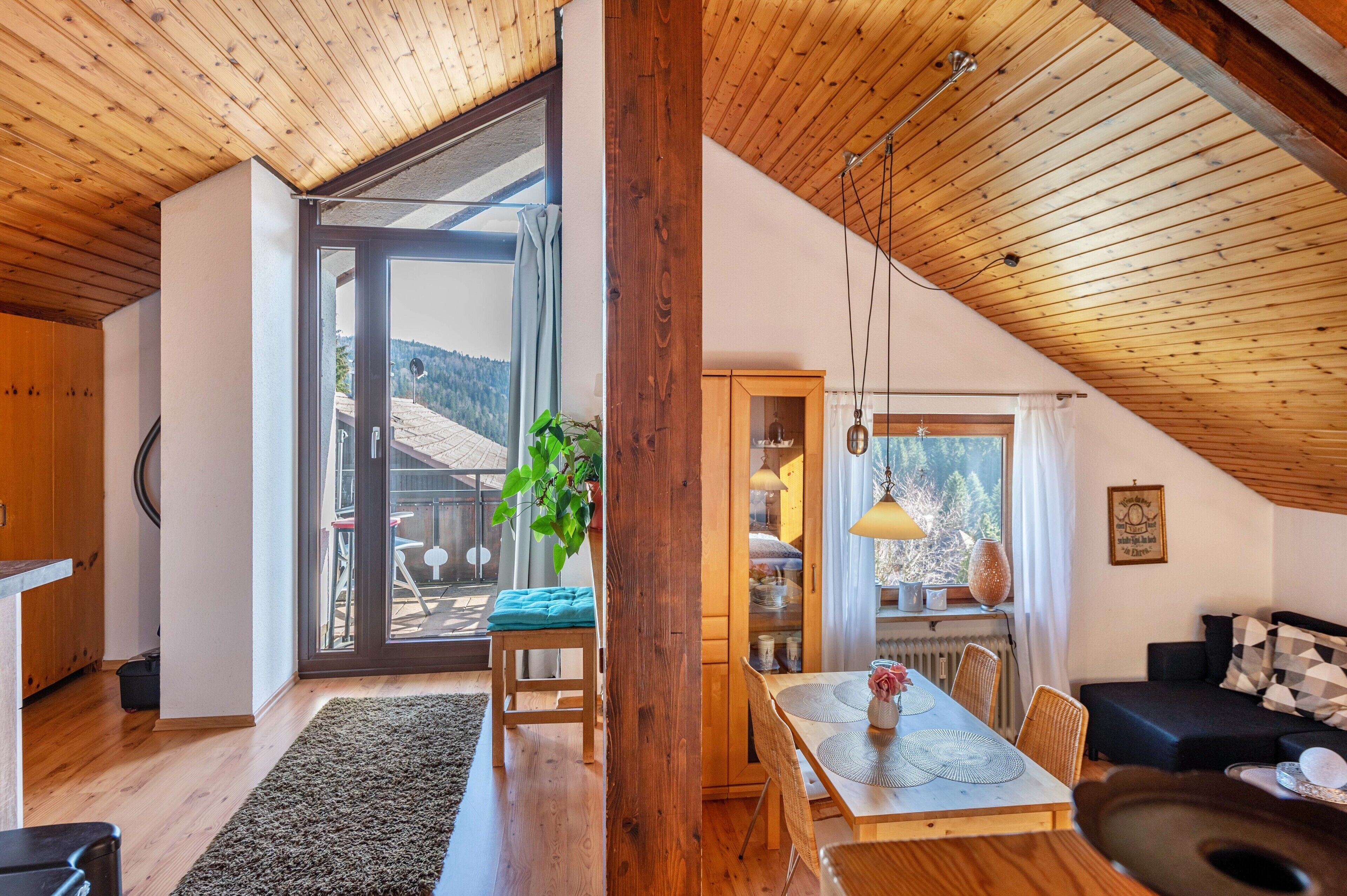 Televisio, DVD-soitin