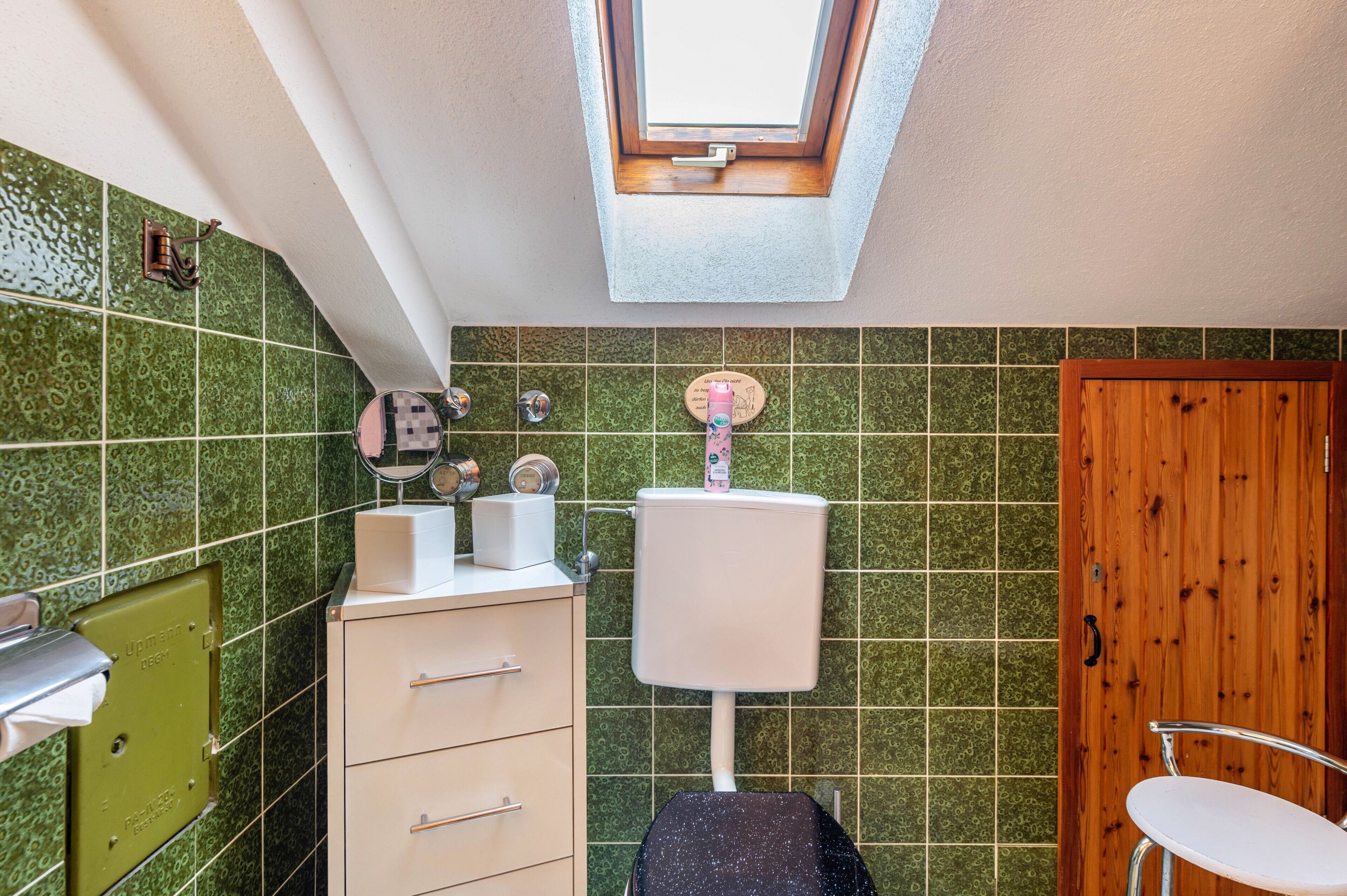 A bathroom with green patterned tiles, a skylight, a toilet, a sink, a mirror, and a wooden door.