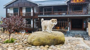 A building with a traditional architectural style, featuring a balcony and a sign with Chinese characters. - mountainside (Zhangjiajie)