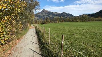 Ein ländlicher Pfad, der zu einem kleinen Haus mit Blick auf einen Berg führt.