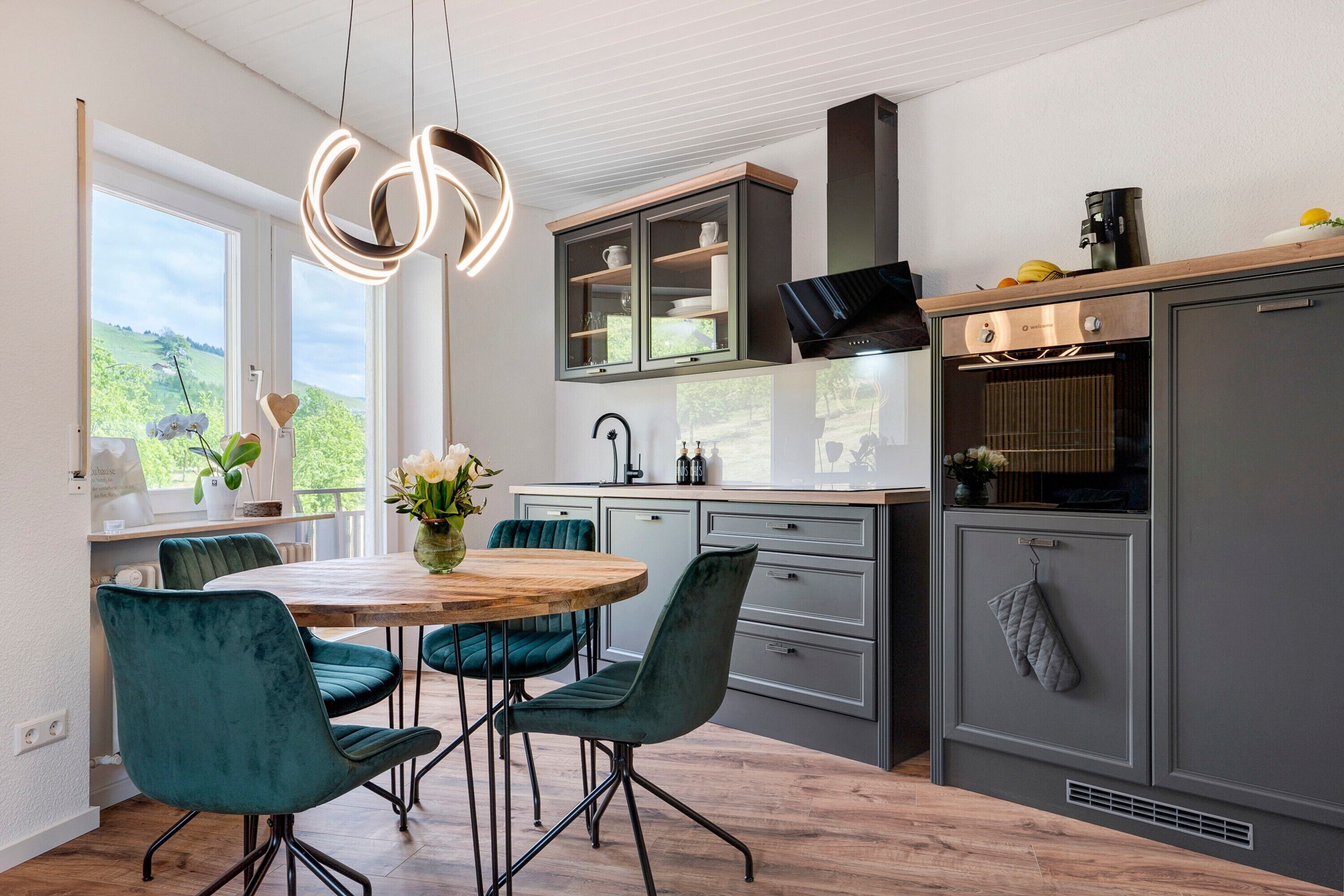 Fridge, oven, stovetop, dishwasher