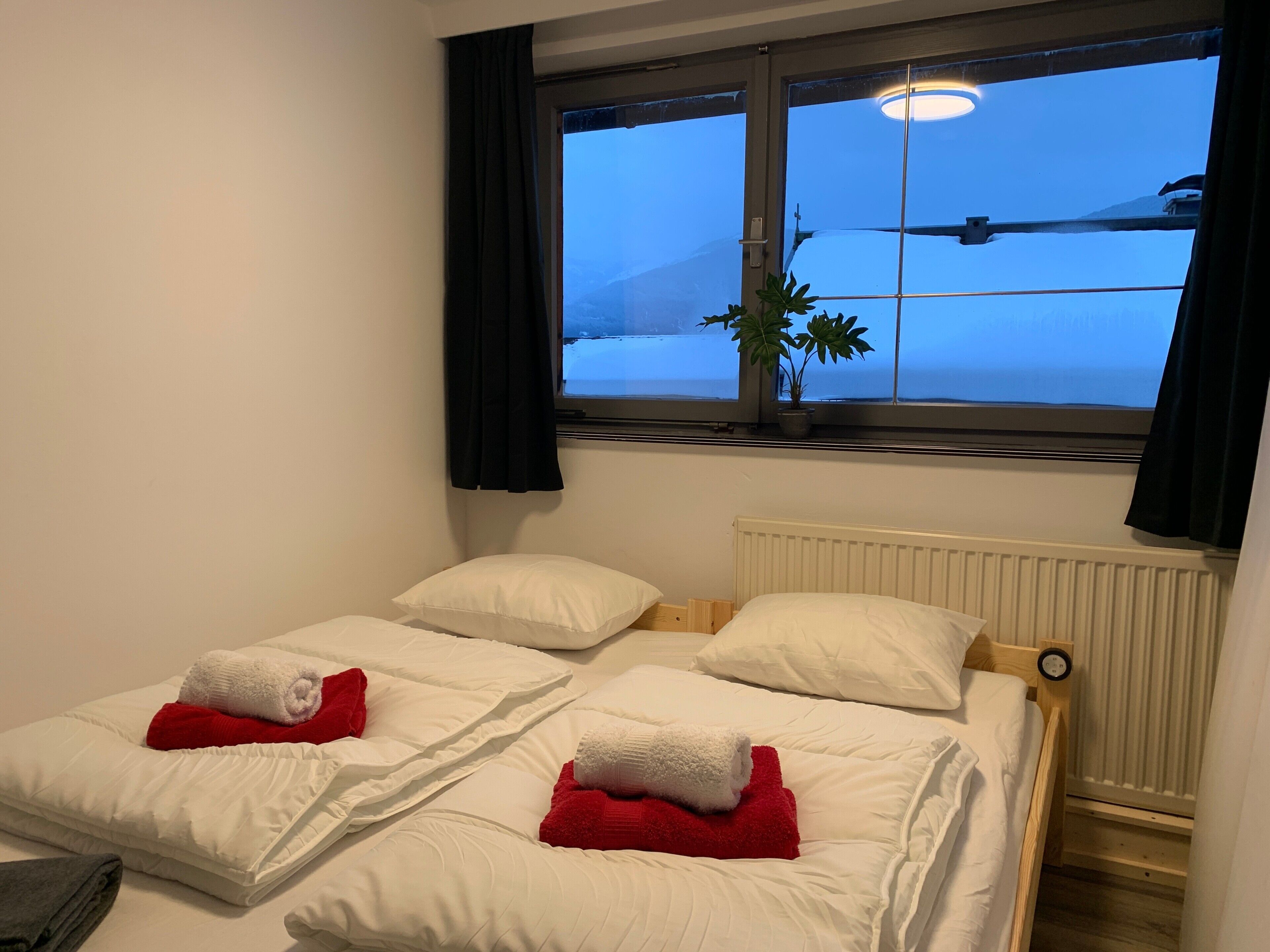 A bedroom with two beds, white bedding, a window with a view of a mountain, and a potted plant on the windowsill.