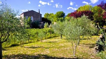 Áreas de la propiedad