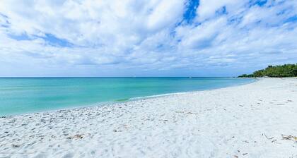 Expansive Gulf Views from Balcony | San Marco on Venice with Private Beach | Heated Pool | King Bed