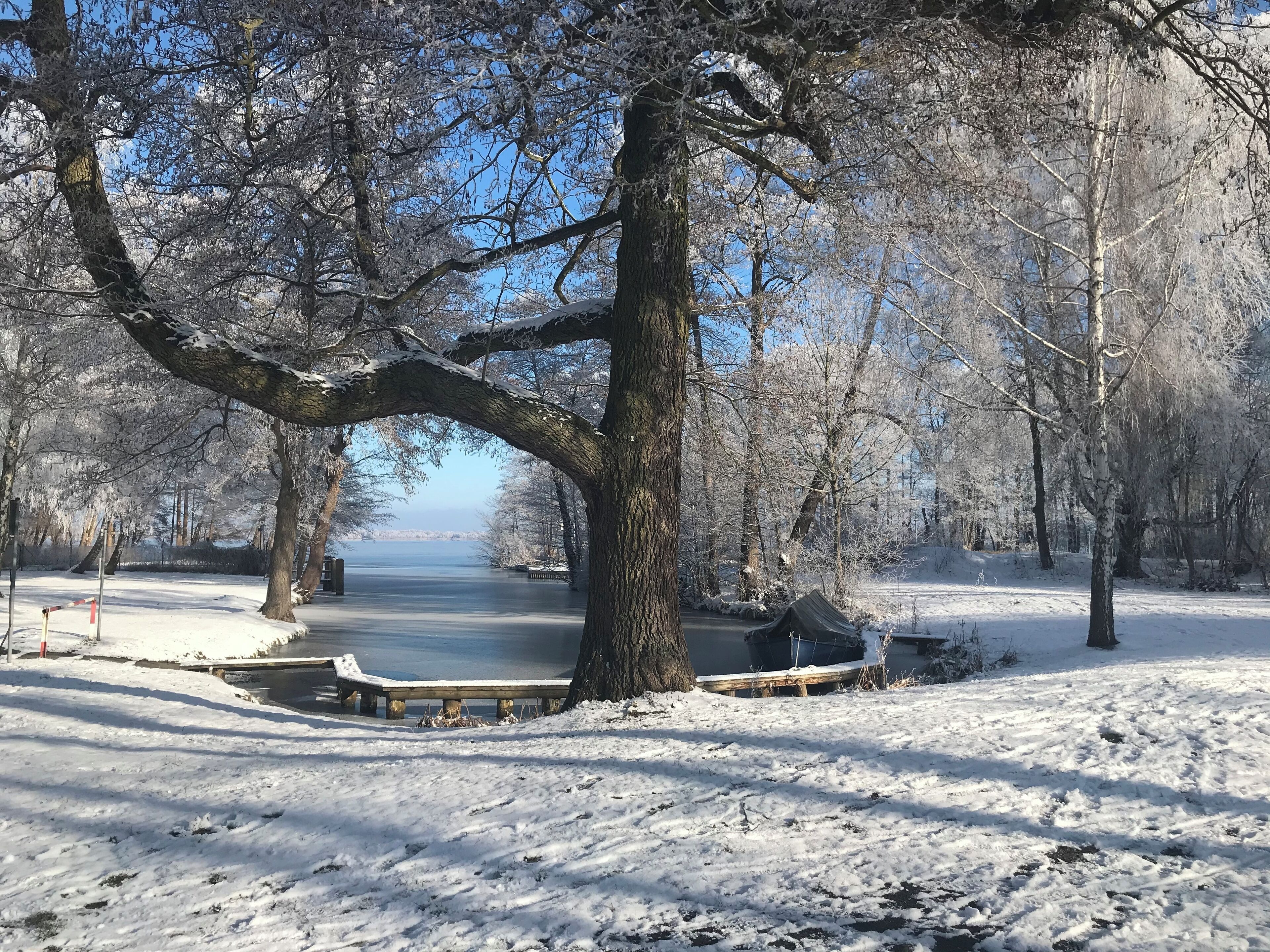Ein verschneiter Park mit einer Bank und einer kleinen Schutzhütte.