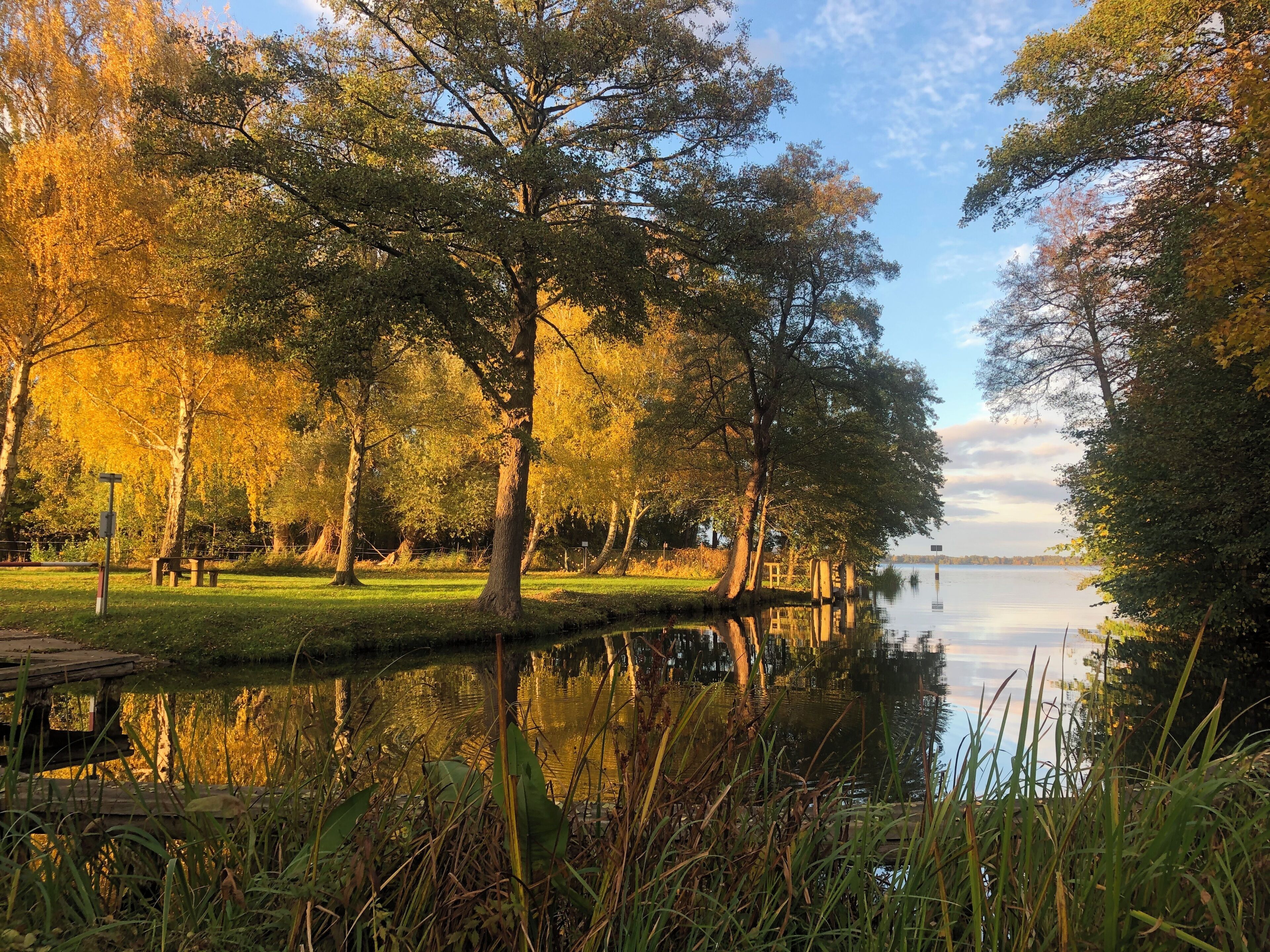 A serene lakeside park with trees, a wooden dock, and a calm water surface reflecting the sky.