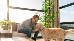 A person sitting on a couch with a dog, a potted plant, and a view of the sky through large windows. - Loosdrecht Water Villa (Nieuw-Loosdrecht)