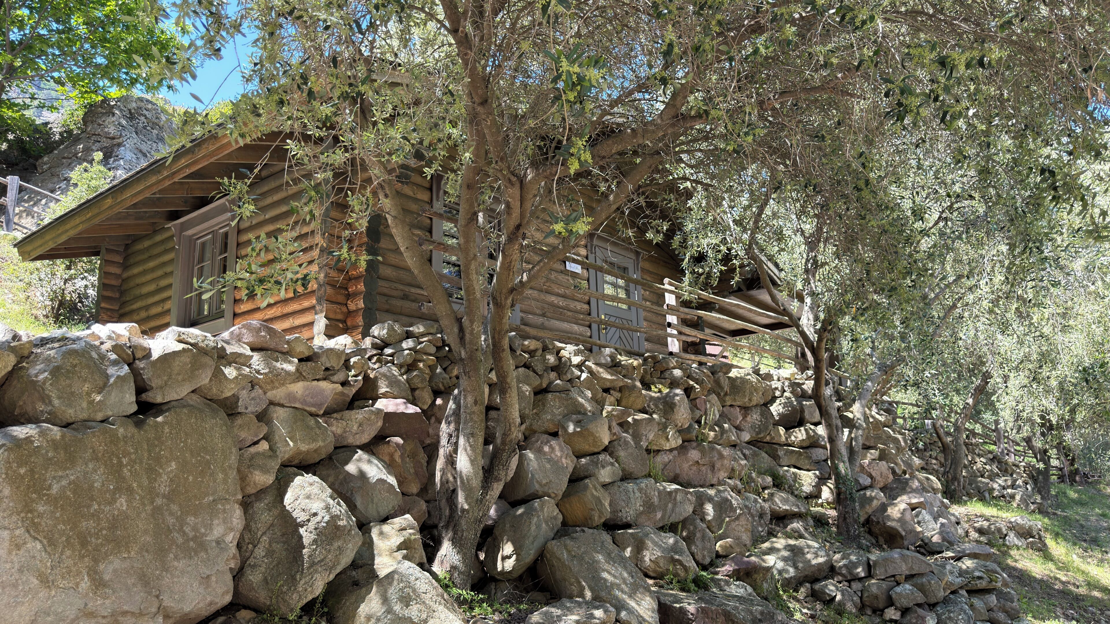 Family Cabin | Premium bedding, Tempur-Pedic beds, in-room safe, individually decorated