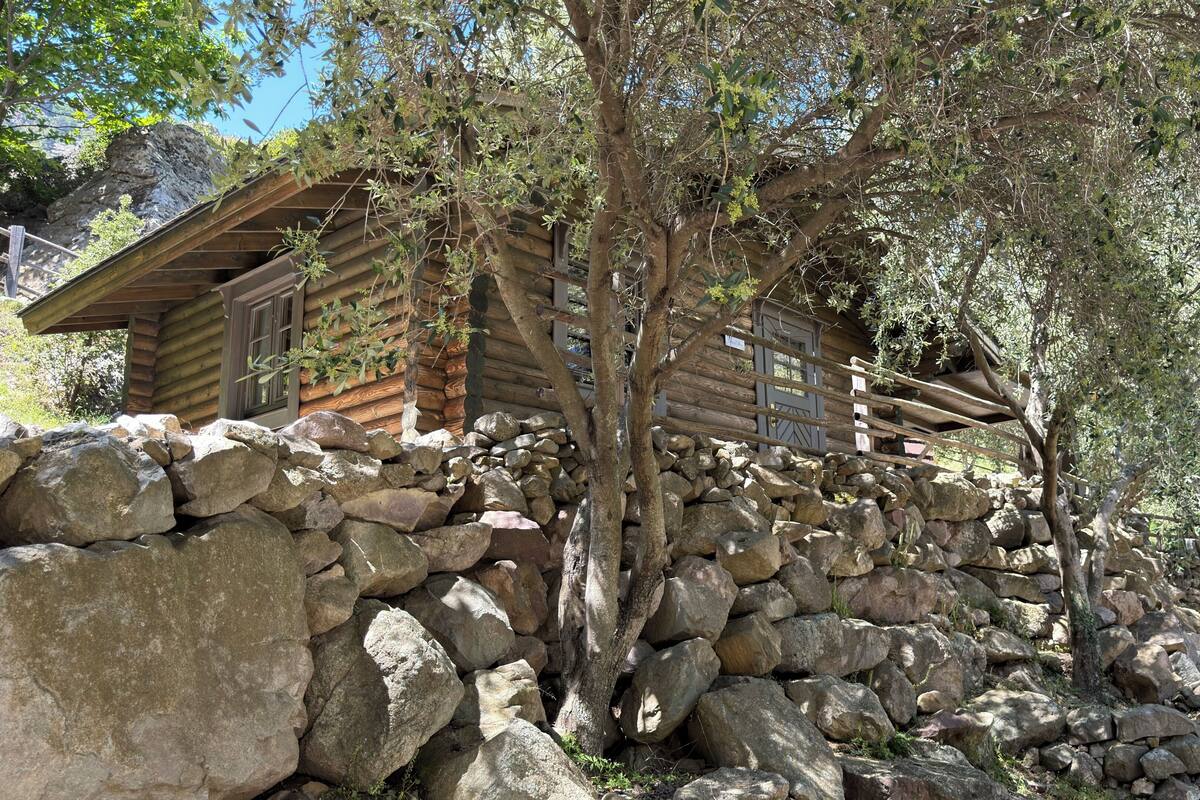A log cabin with a stone foundation, surrounded by trees and a rocky hillside.
