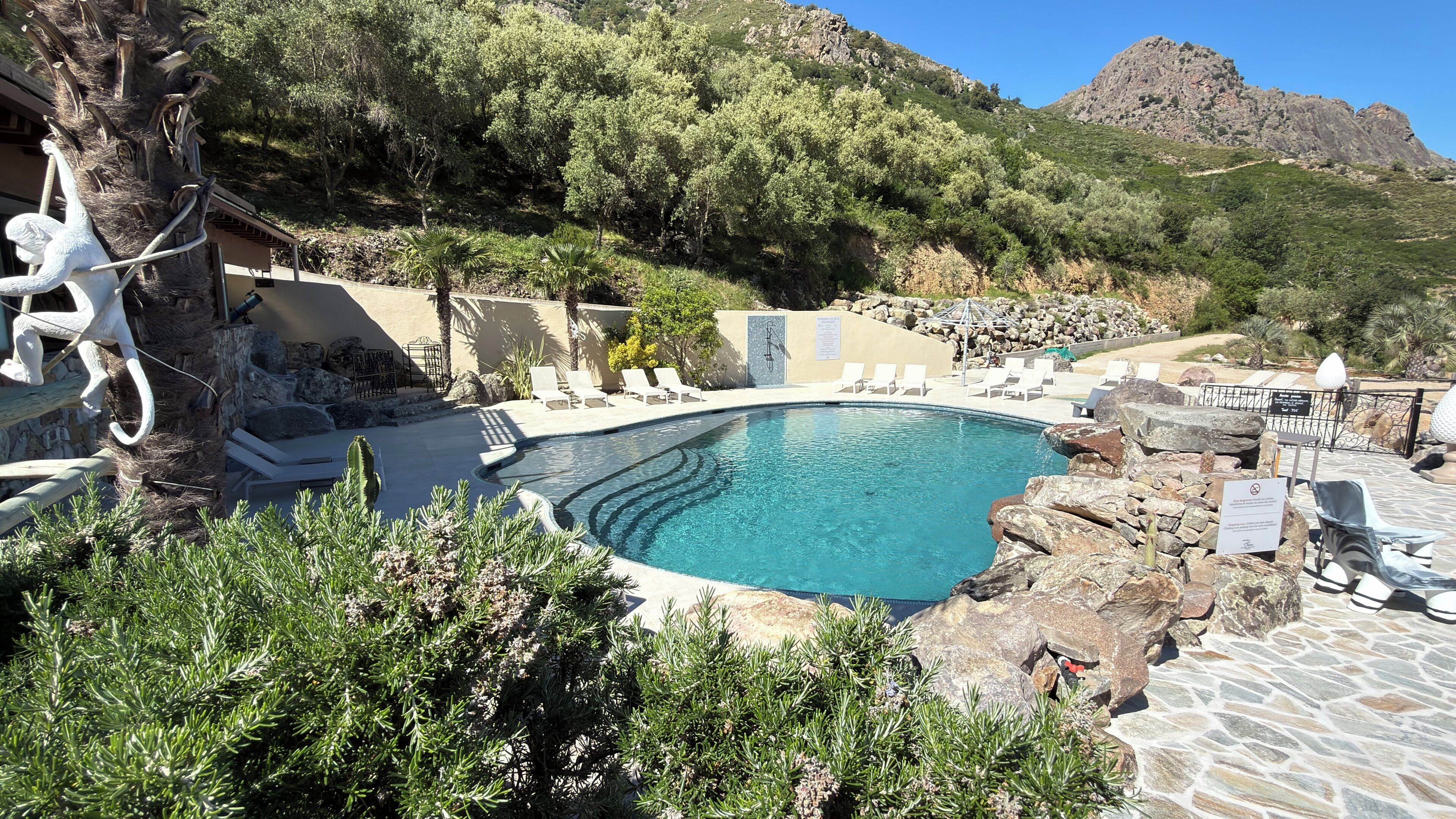 A pool with a curved edge, surrounded by lounge chairs and a rocky landscape.