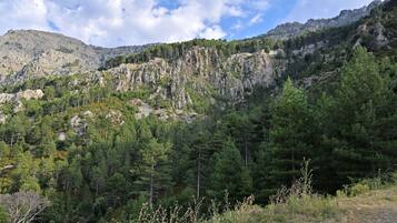 Hiking