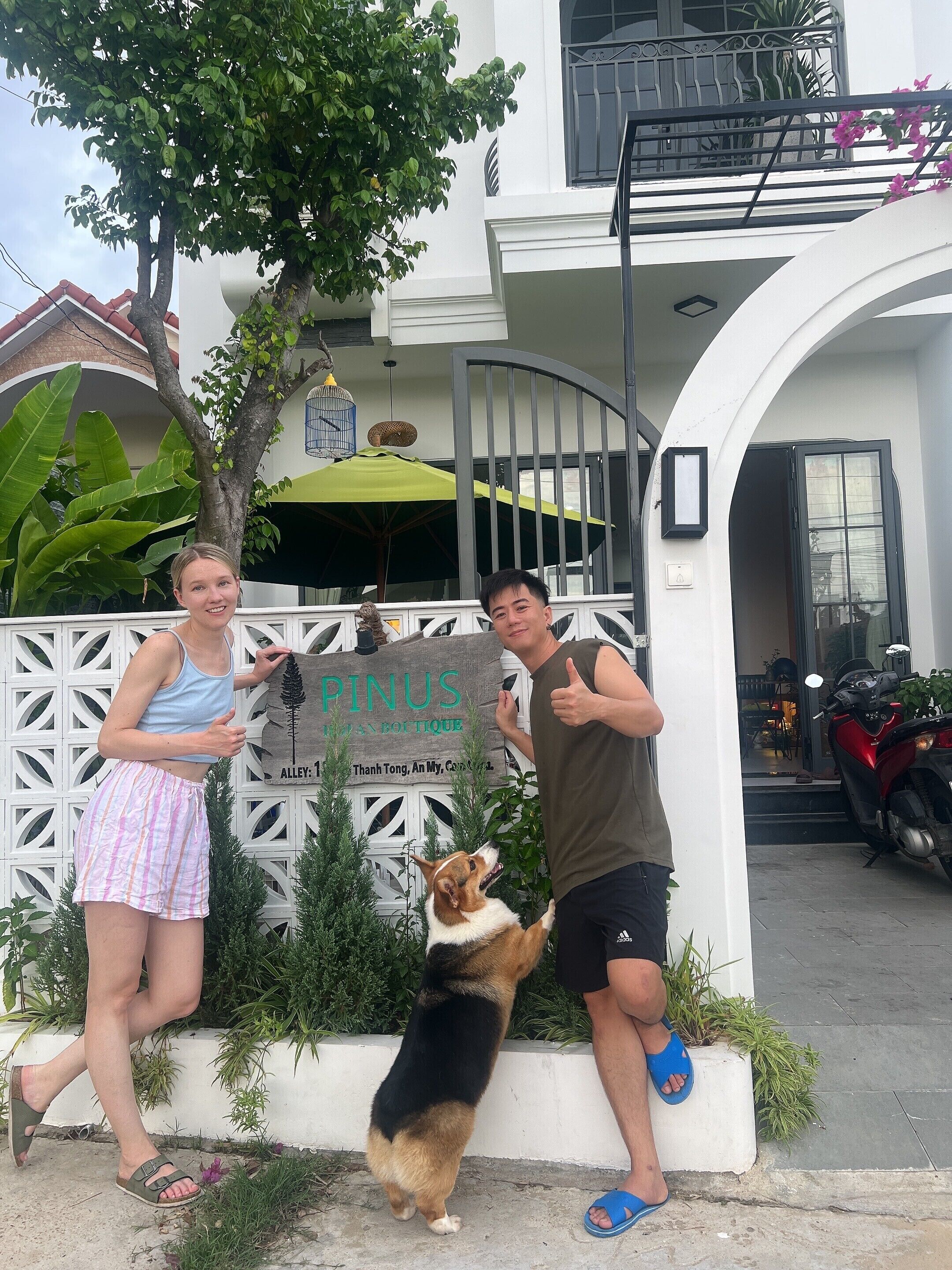 En boutiquehotels indgang med et skilt, et træ og en hund.