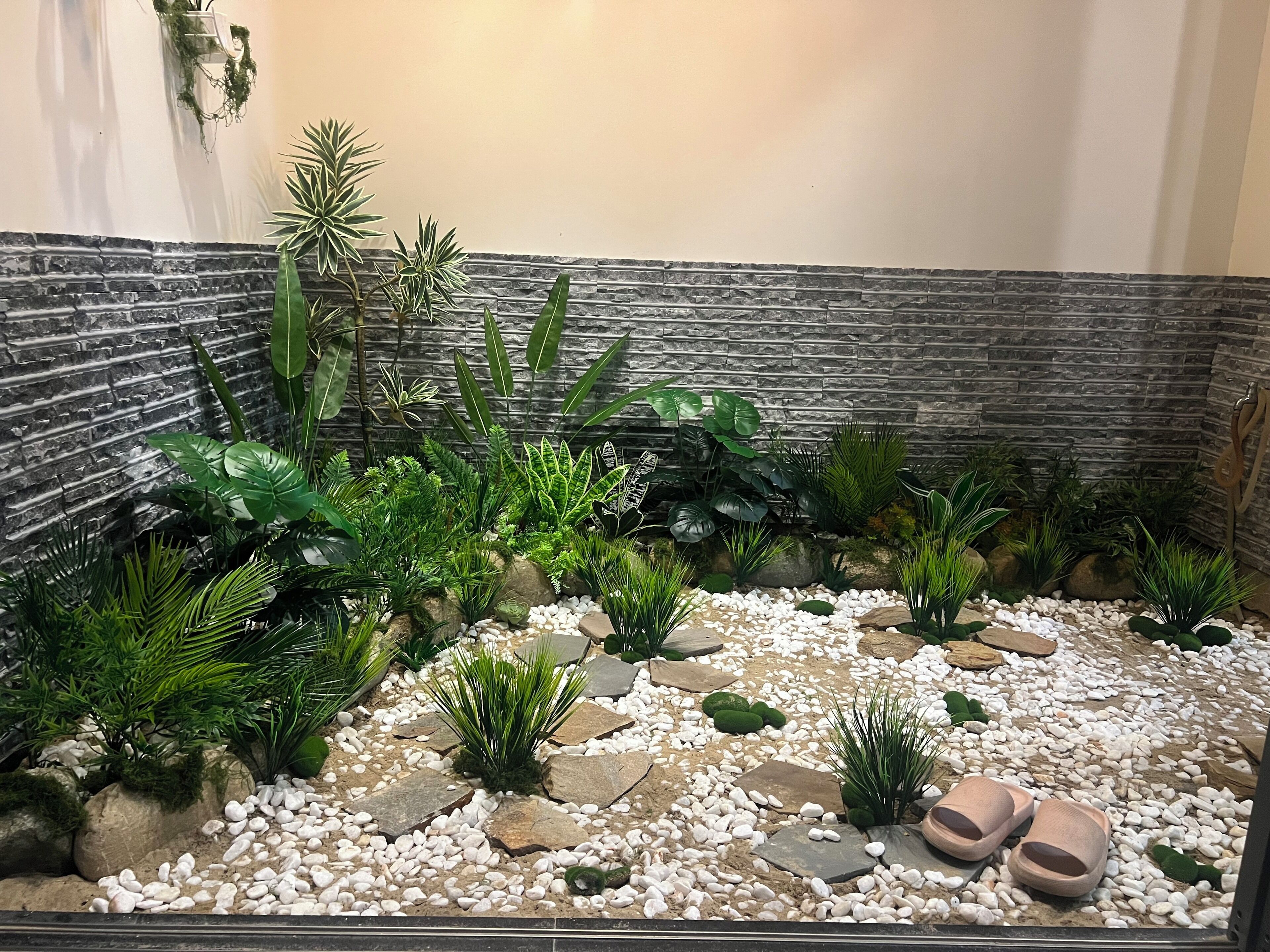 A small indoor garden with various plants, rocks, and a pair of slippers.