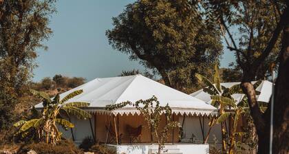 Riva Stays And Trails