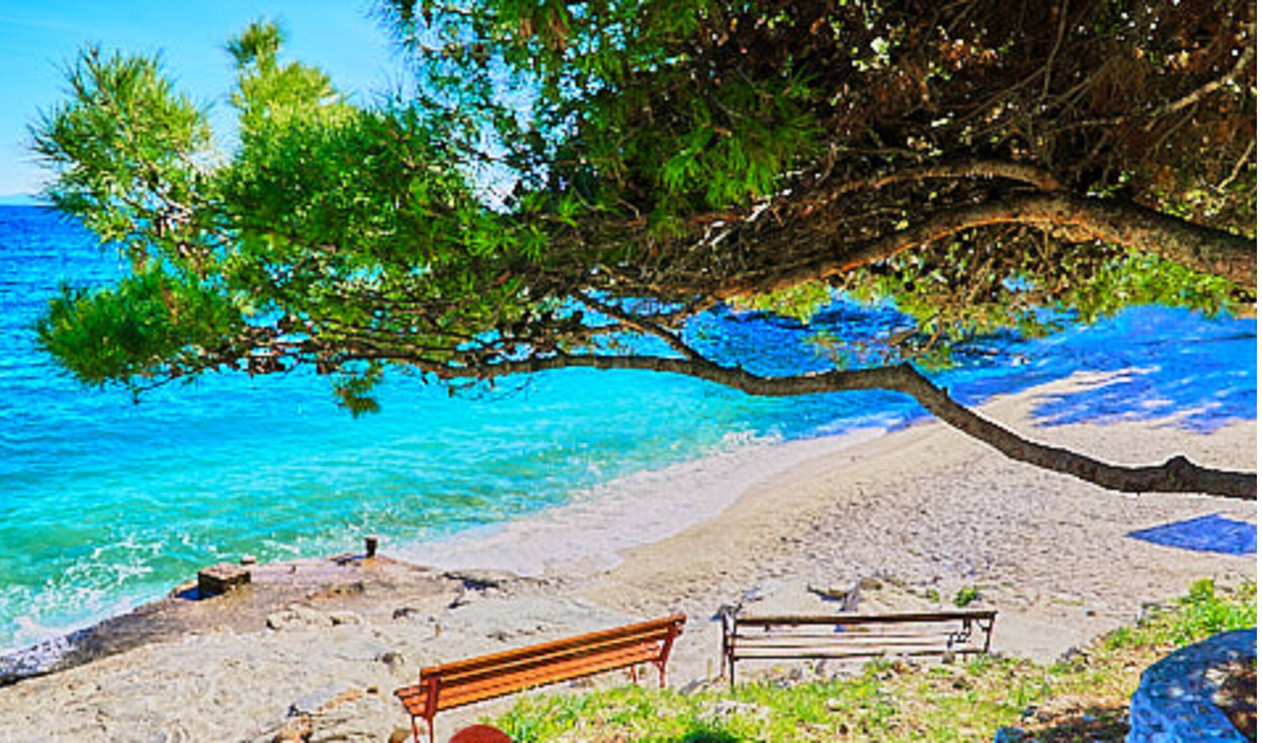 Una playa con un banco y un árbol que se extiende sobre la arena.