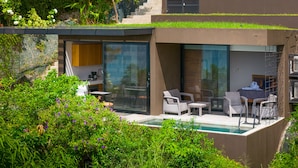 Ein modernes Haus mit einer gläsernen Terrasse, Gartenmöbeln und einem Schwimmbecken.
