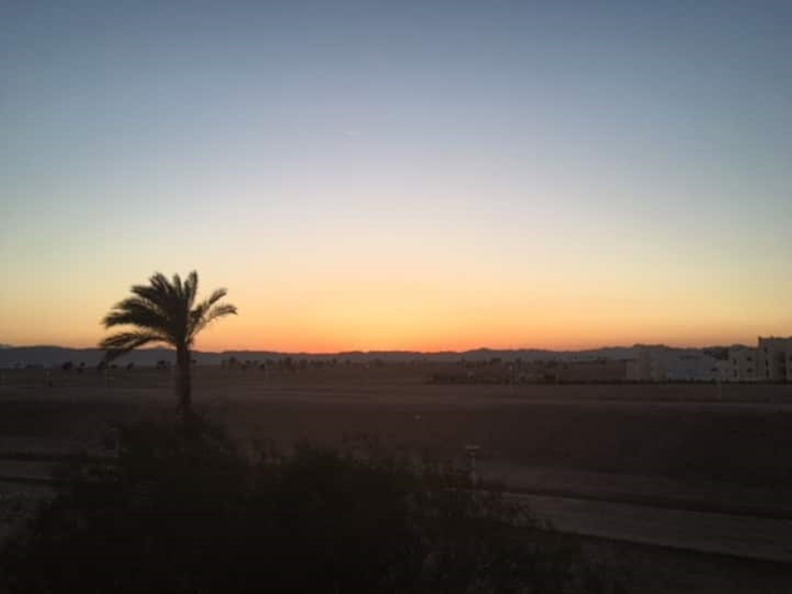 Un atardecer sobre un paisaje llano con una palmera y edificios a lo lejos.