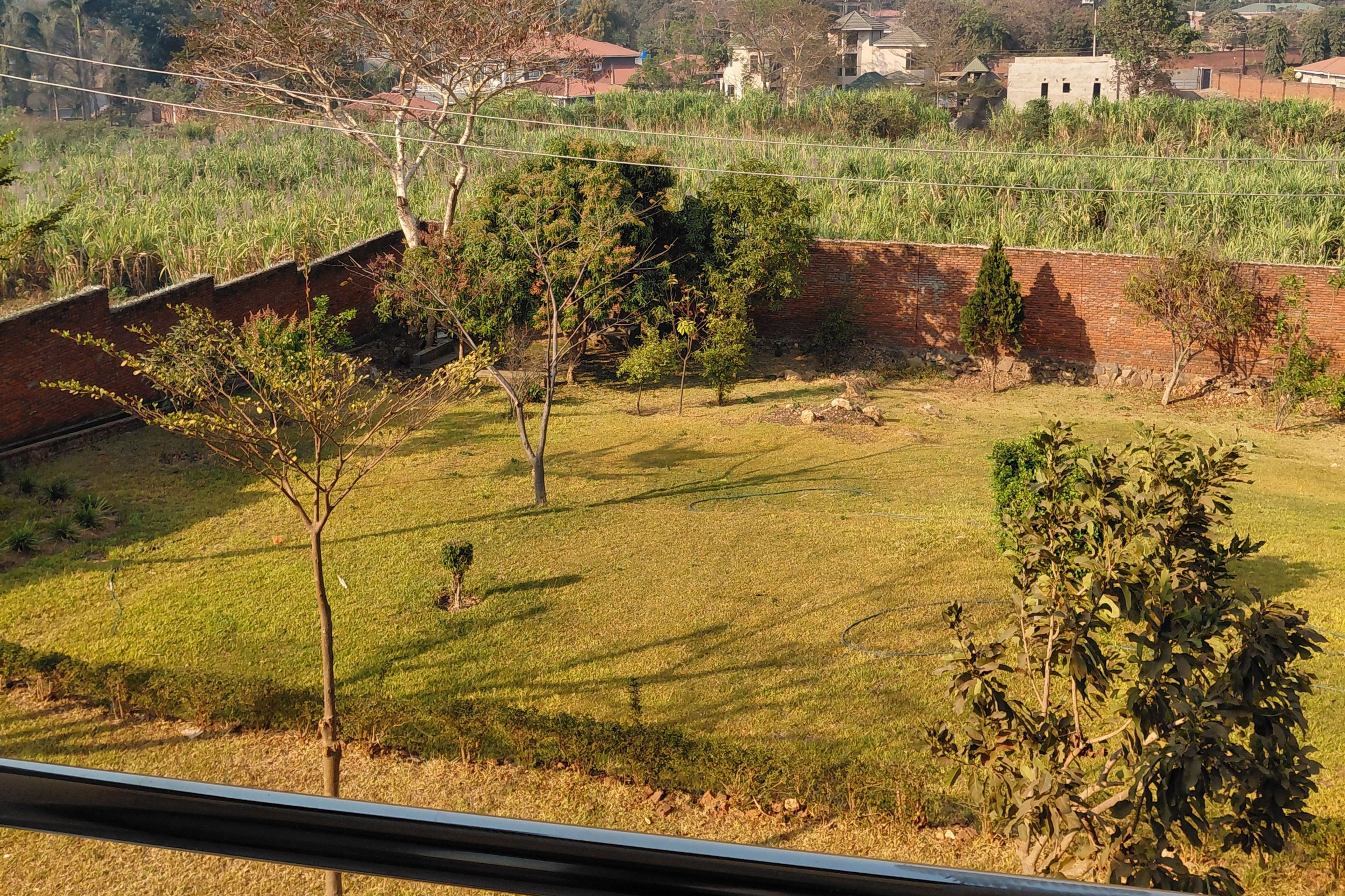 A rural landscape with a grassy field, trees, and a brick wall.