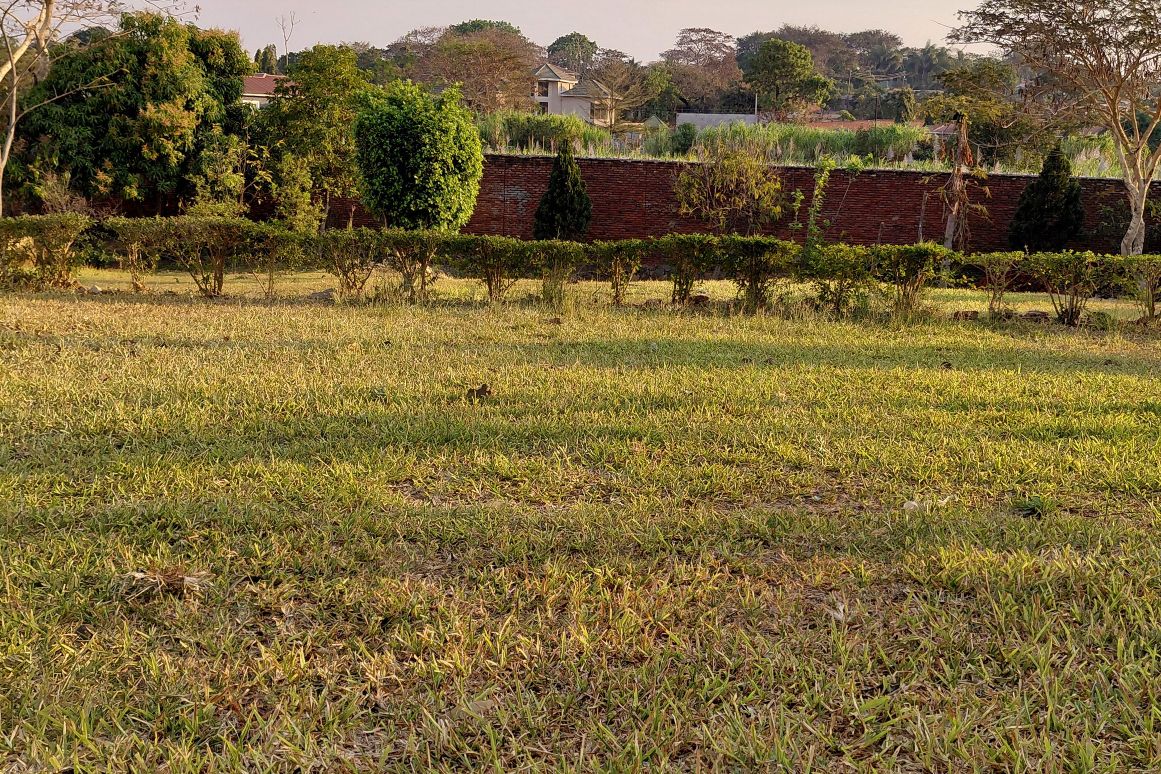 Um campo gramado com um muro de tijolos e árvores ao fundo.