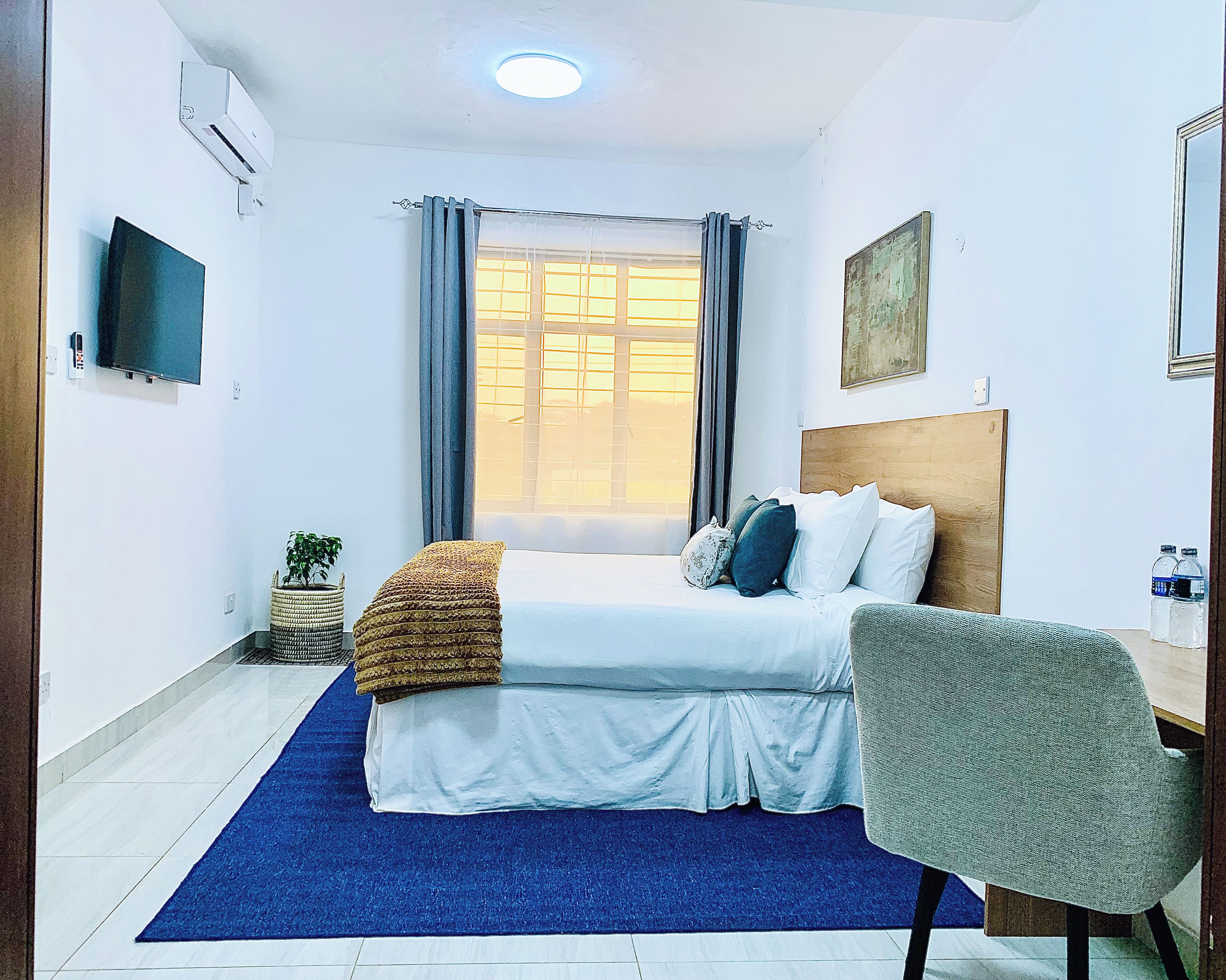 A bedroom with a bed, a desk, a chair, a window with curtains, a wall-mounted TV, and a small plant.