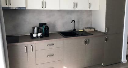 Modern New and Elegant Apartment -PNM Residence D1