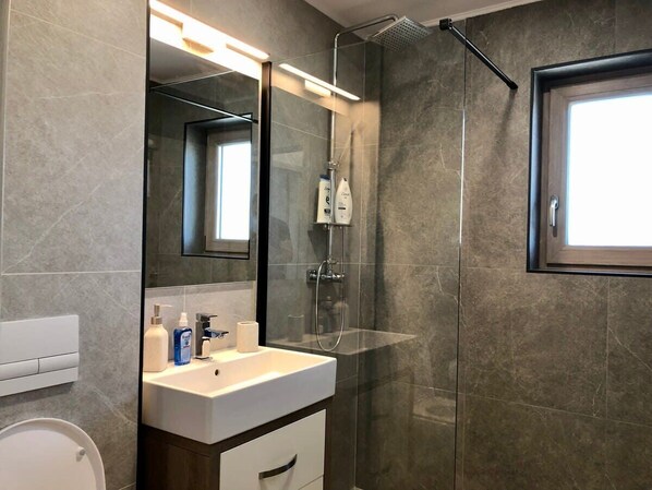 Shower, hair dryer