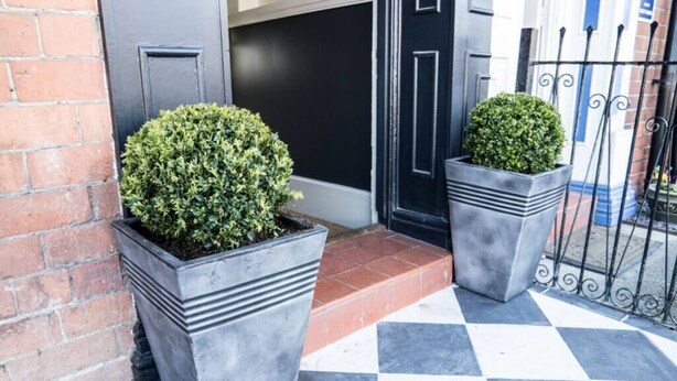 A building entrance with a black door, two square planters with bushes, and a checkered floor. - 3 bedroom apartment in central York (York)