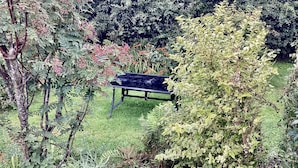 A bench in a garden with various plants and trees around it.