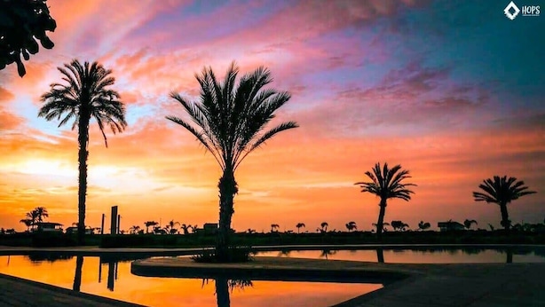 Une scène de coucher de soleil avec des palmiers et une étendue d’eau calme, dans laquelle le ciel se reflète.