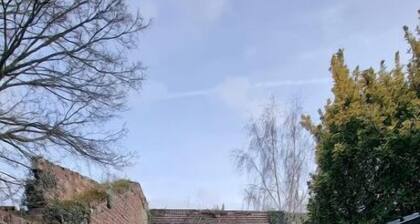 Studio Jasmin tout confort, rénové