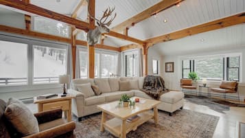 Télévision, cheminée