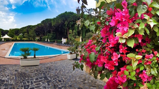 A swimming pool with a tiled deck, surrounded by lush greenery and a clear sky. - Ala Birdi Residence  (Arborea)