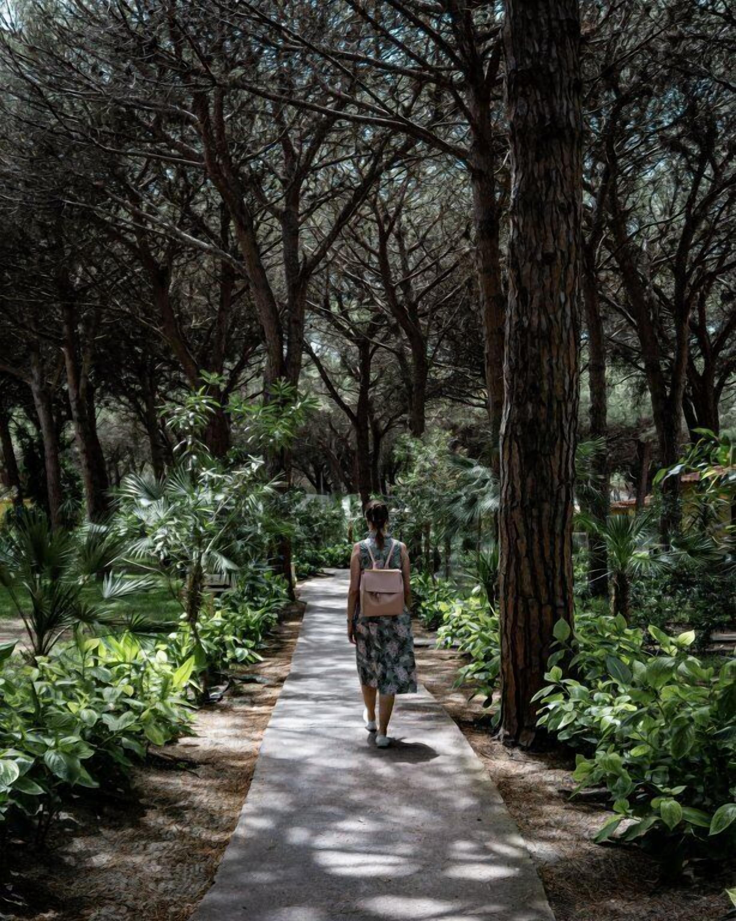 Un sentier qui traverse une forêt dense, avec de grands arbres et une végétation luxuriante.