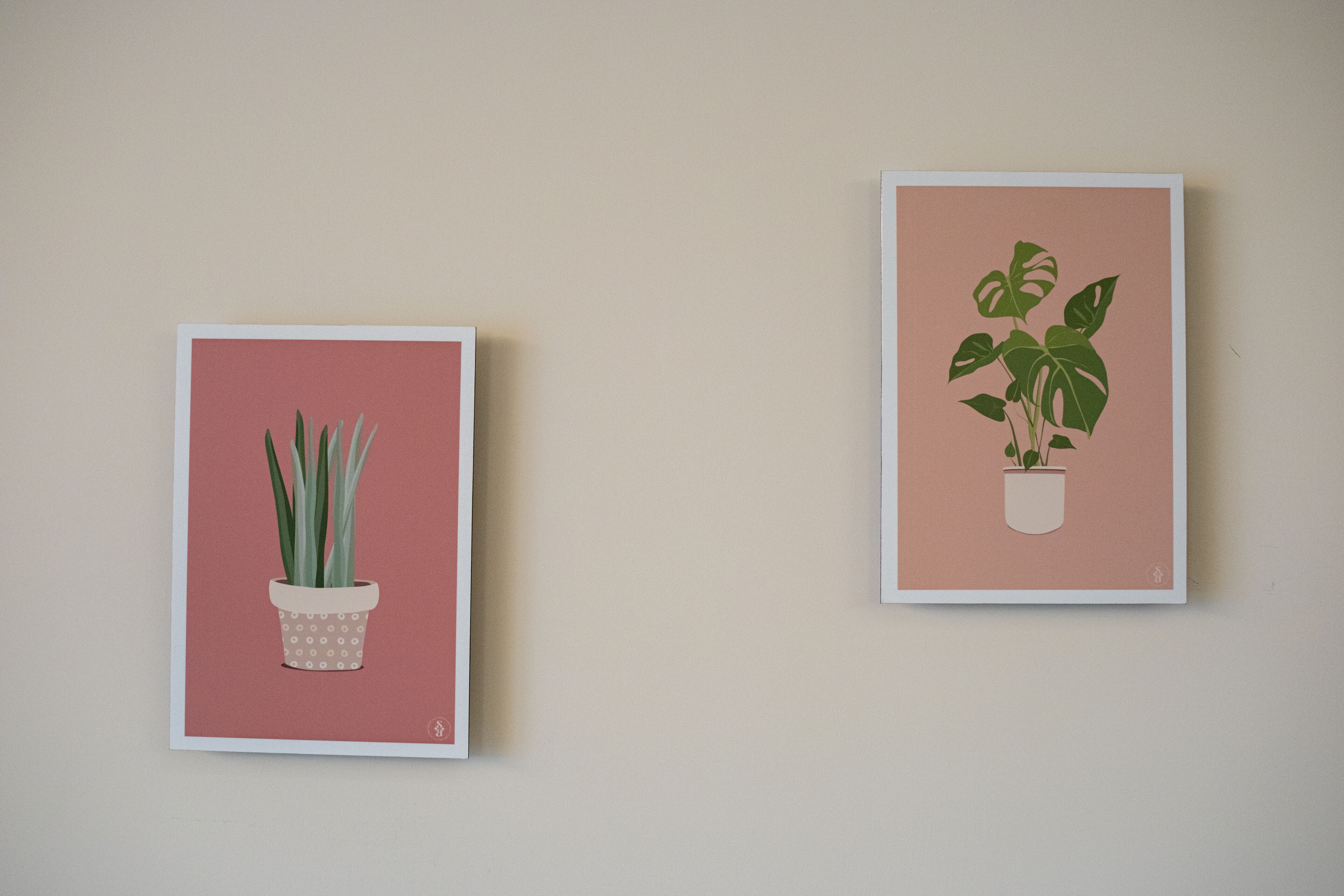Zwei gerahmte botanische Illustrationen an einer Wand.