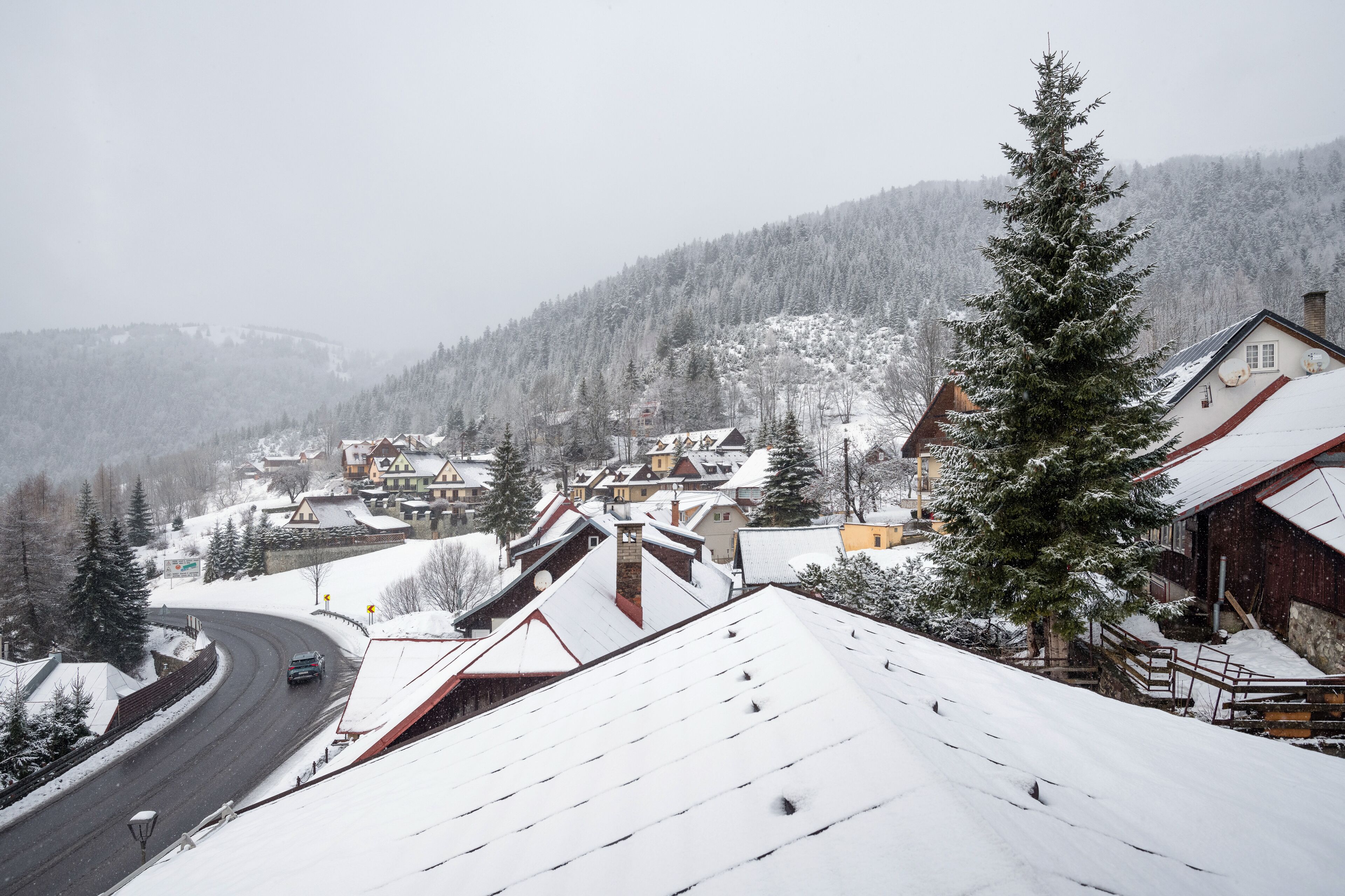 A snow-covered village with traditional houses, a winding road, and a prominent evergreen tree.