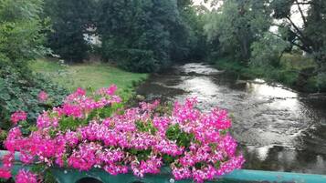 Un río con un puente y una barandilla decorada con flores rosadas.