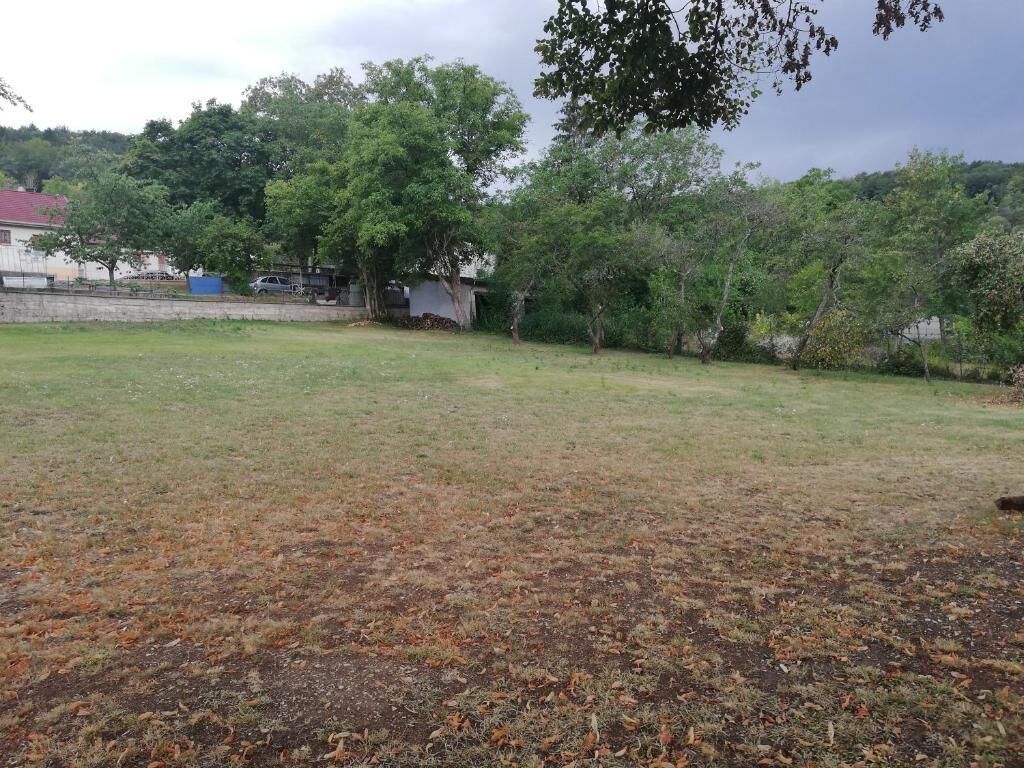 A grassy outdoor area with trees and a building in the background.
