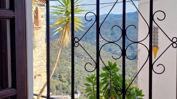 Un balcon orné de balustrades en fer forgé, une vue sur un paysage montagneux et un palmier.