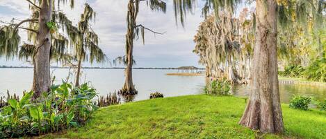 Un parque tranquilo junto al lago, con árboles maduros, un paseo pavimentado y una vista distante de una casa al otro lado del agua.