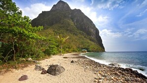 A beach with a rocky shoreline, a palm tree, and a mountain in the background. - Authentic St. Lucian Experience At Prestigious Villa - Colibri Cottage 6 Bedroom Villa by RedAwning (Soufrière)