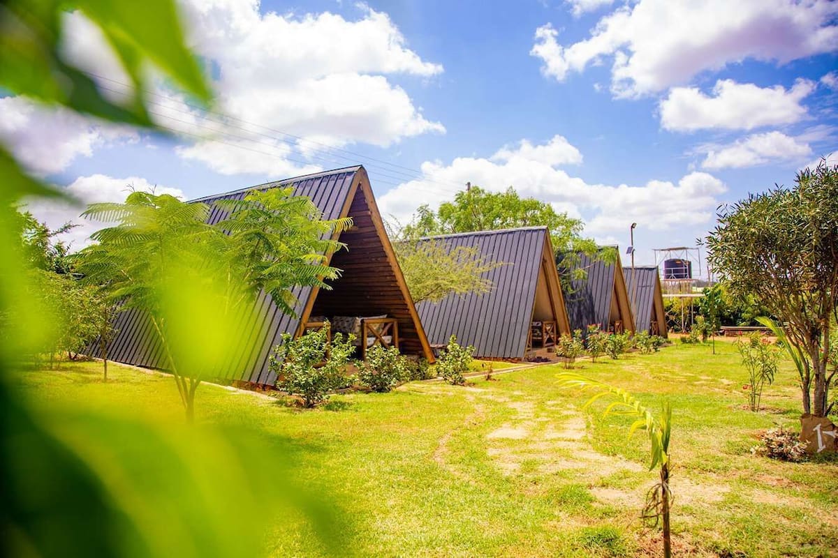 A row of modern, triangular-roofed cabins in a lush, green setting.