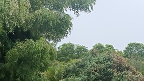 住宿正面