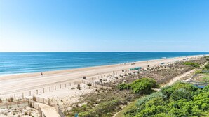 A beach with a sandy shore, a clear blue sky, and a fence running parallel to the beach. - Beautiful 2 Bedroom Condo At Century I With Indoor Pool (Ocean City)