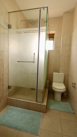 Towels, soap, shampoo, toilet paper