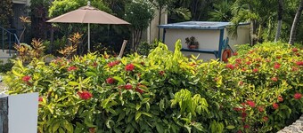 SEA TURTLE COVE ST
 CROIX -NO PASSPORT 