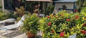 SEA TURTLE COVE ST
CROIX -NO PASSPORT