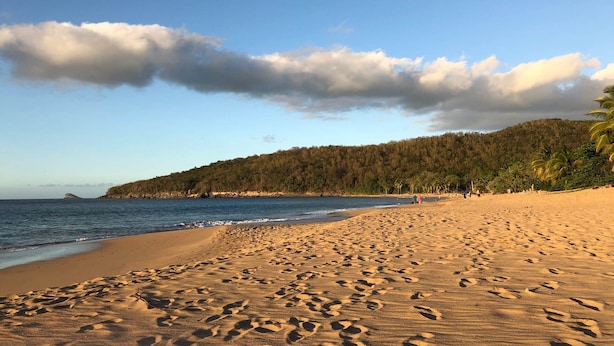 Une plage où l’on peut voir des empreintes dans le sable, un ciel dégagé et, au loin, une colline couverte de forêt.