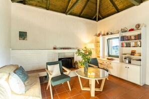 TV, fireplace, offices