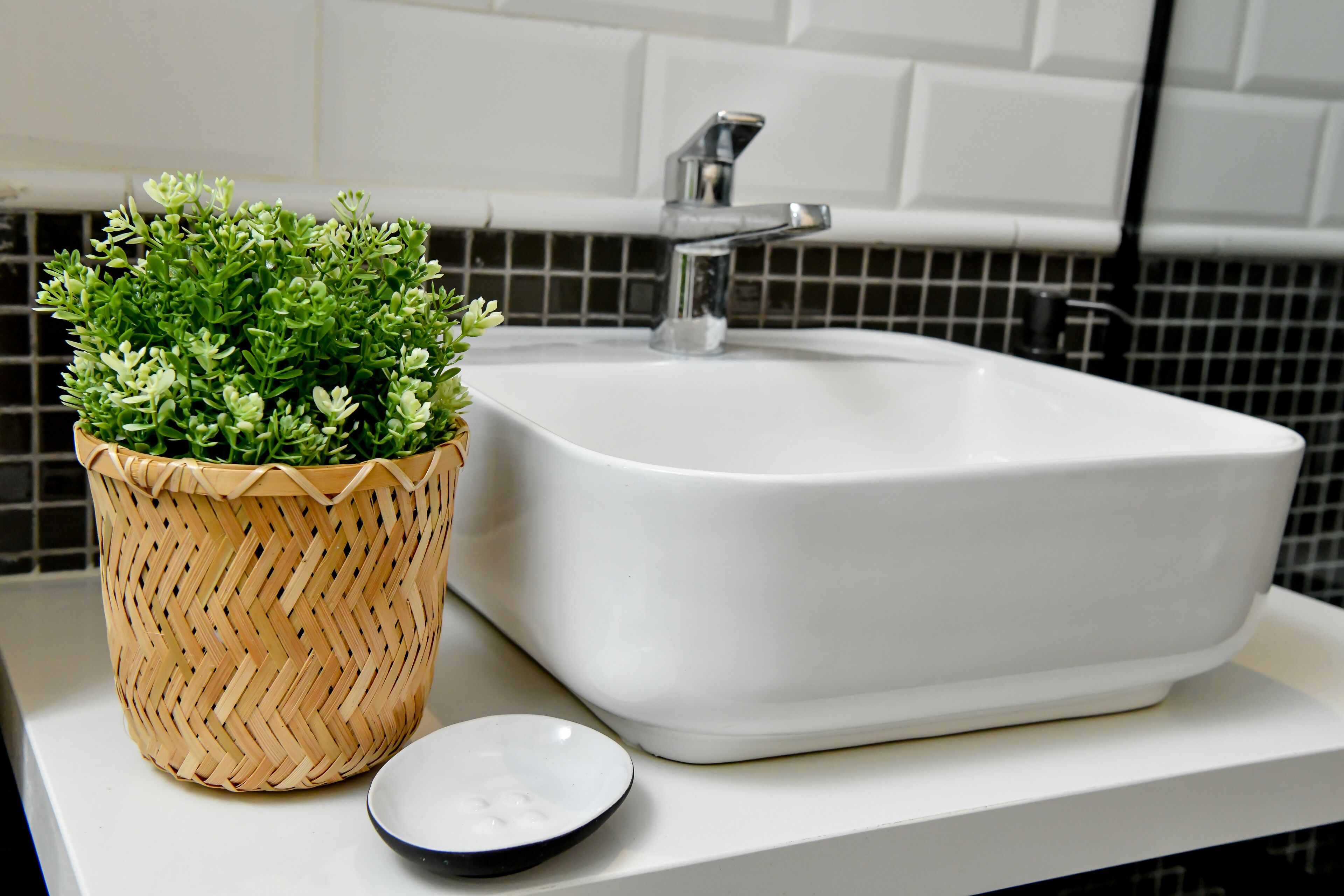 Foto - Honky Tonk Punta Cana