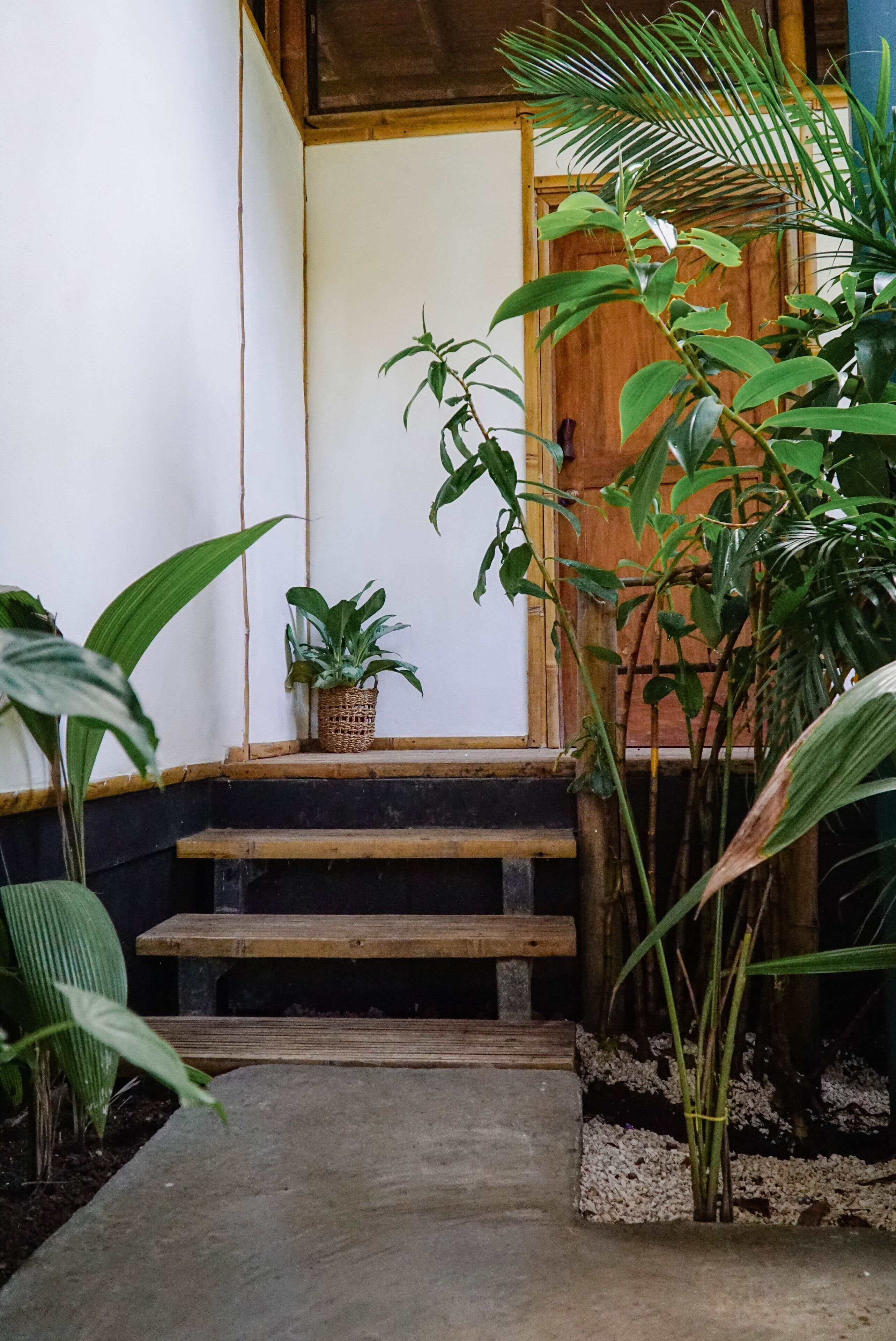 Una escalera de madera que conduce a una habitación con puerta de madera, rodeada de exuberante follaje.